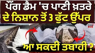 Pong Dam Water Level | ਪੌਂਗ ਡੈਮ 'ਚ ਪਾਣੀ ਖ਼ਤਰੇ ਦੇ ਨਿਸ਼ਾਨ ਤੋਂ 3 ਫੁੱਟ ਉੱਪਰ, ਆ ਸਕਦੀ ਤਬਾਹੀ ? | Bhakra