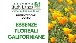 Presentazione Corso ESSENZE FLOREALI DI CALIFORNIANE | Istituto Rudy Lanza