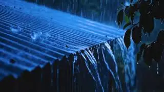 Blue Night Heavy Rain on Tin Roof,Deep ASMR Rain Sounds for Sleep and Relaxation at Midnight Blue 19