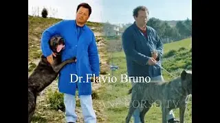 REPOST - DOGS OF PUGLIA - By  Dr. Flavio Bruno