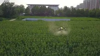 Largest easy maintenance drone for agriculture purpose farm field drone for pepper for sale