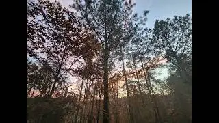 Evening sun on the White Oak Creek Greenway trail!!