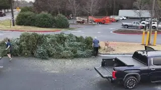 From Christmas trees to leftover packaging: How to recycle your holiday trash