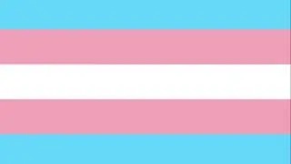 Transgender flag meaning