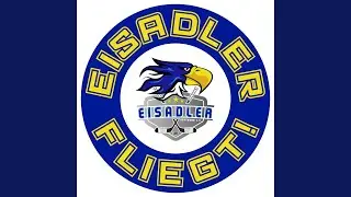 Eisadler Fliegt