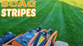 Lawn Care From Start to Finish ( Fall Cleanup With Lawn Stripes ) Part 1