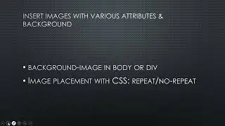 html practical 14 insert background  image