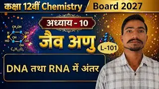 Class 12th Chemistry Chapter-10 Lecture-101 | Difference between DNA and RNA | Ignite Peak Academy
