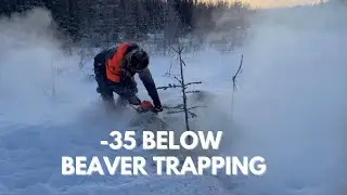 -35 Below Zero / Beaver Trapping Alaska 
