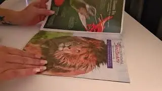 A Quick Crinkly Page Turn Through Magazines with Thin Pages  - No Talking