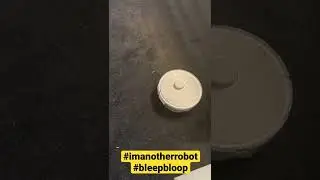 Bleeepp bloop&hellip;I am cleanaholic..technology at its best#robotcleaner #robotics #australia #shorts
