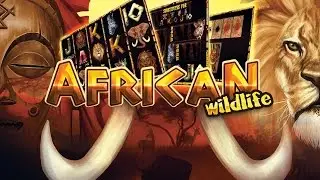 African Wildlife slot game from Platin Gaming