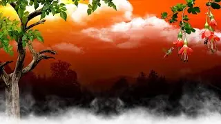 Beautiful Sunset Background Video Effects HD With Smoke Effect Video Background Animation