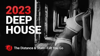The Distance & Stam - Let You Go