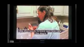 animal cops Detroit s4e3￼