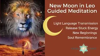 New Moon in Leo - Guided Meditation & Light Language Transmission