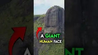 The Rock in Brazil That Looks Alive 🫣