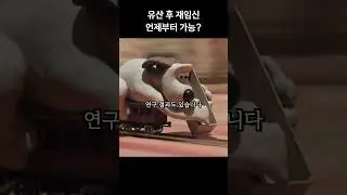 유산 후 다시 임신 준비할 때 조심해야할 것