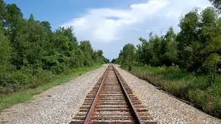 Edward Fun Train Thomas & Friends Finger Family Song
