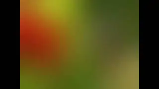 Indo Oga - Cerita Bolong Manyalla (Kecapi Bugis)