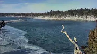 Audubon Osprey Nest Cam 01-06-2018 07:13:03 - 08:13:04