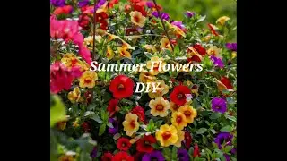 summer flower 2025