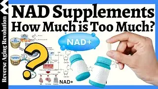 NAD Supplements - Are YOU Taking TOO Much? New Research Findings