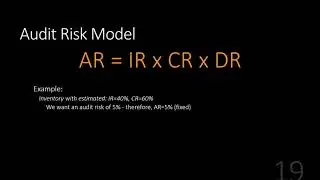 Audit Risk