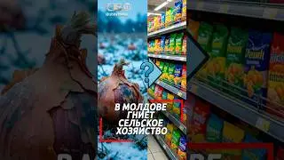 Почему в Молдавии гниет свой лук, а в магазинах &ndash; украинский? Возмутился депутат!