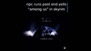 Skyrim npc yells among us