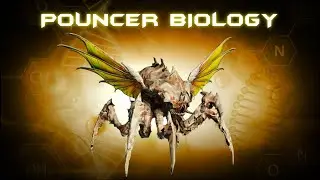 Pouncer Terminid EXPLAINED: Evolution, Biology & Deadly Hunting Tactics!