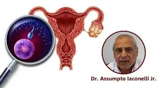 MITOS E VERDADES SOBRE FERTILIDADE