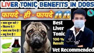 Liver Tonic 😱 के फायदे || Benefits Of Liver Tonic In Dogs || Best Liver Tonic For Dogs || Dose Rate