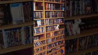 Shelfie my dudes. #steelbook #shelfie #steelbooks #blurays #bluray