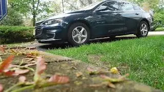 Trying to Clean Pollen Off My Car  - May 4, 2019