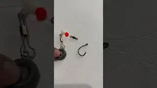 Лучшая оснастка для ловли сома | Carolina Rig!!! #djmoetvfishing #catfishingtips #shorts