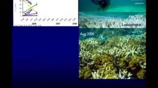 Guillermo Diaz-Pulido - Climate change and coral-algal dynamics