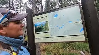 Swiftcurrent Pass Hike 2021 MT