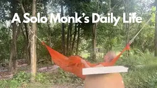 Solo monk is working mindfully, going for alms collection