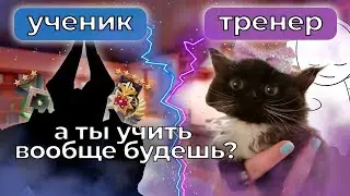 как я тренировала дотеров с @BashCare