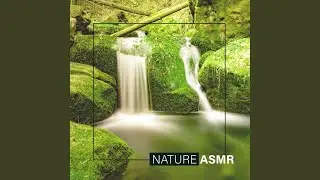 Healing Nature 2021