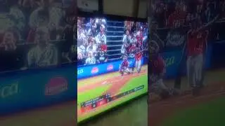 TOROS Y ESCOGIDOS EN VIVO
