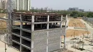 DLF SCO 84