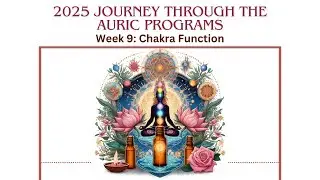 Week 9 Chakra Function Journey through the Auric Program