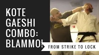 Killer Kote Gaeshi combo against straight punch
