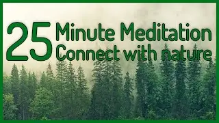 Sounds and images to improve your mood and connect with nature: 25 minutes of meditation.
