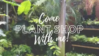 PLANT SHOP WITH ME!