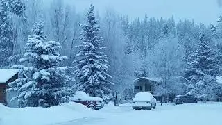 Yukon winter