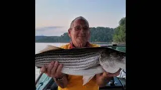 Kentucky Striper Guide Service Lake Cumberland KY - End of Summer 2021