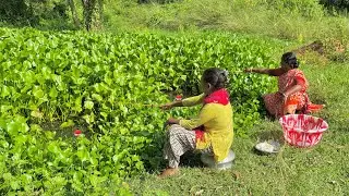 Fishing Video || Two expert fishermen fishing happily in the Beautiful pond || Best hook trap